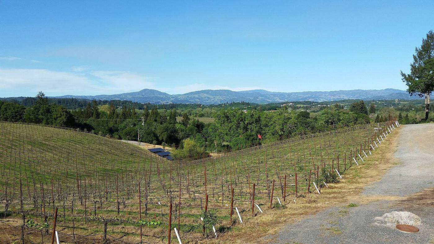 Windsor & Healdsburg