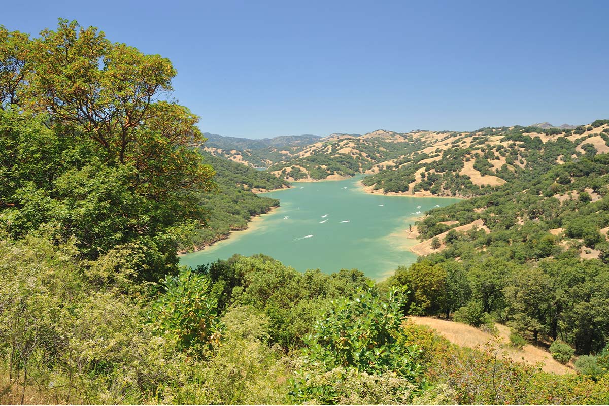 Santa Rosa